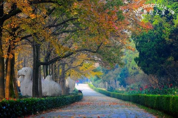 南京秋游观景去哪里最好 最美的南京秋游观景地点推荐