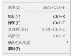 PS2020怎么设置滚轮放大 操作方法