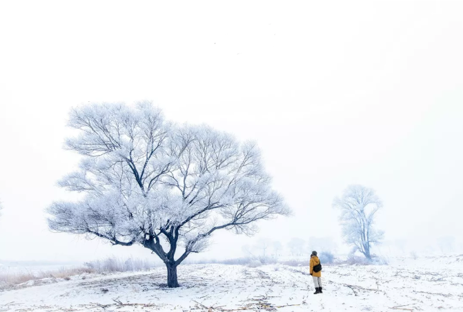 国内哪里的雪景最好看 孩子玩雪应该注意什么