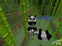 我的世界熊猫在哪生成 熊猫行为习惯介绍[多图]