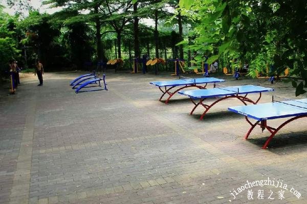 南京哪个公园最适合健身 南京最好的健身公园推荐