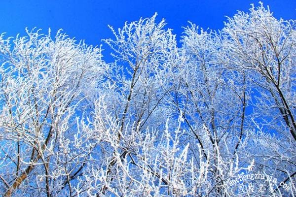 12月去哪里看雪景最好看 这几个超美的雪景网红打卡地点千万不能错过