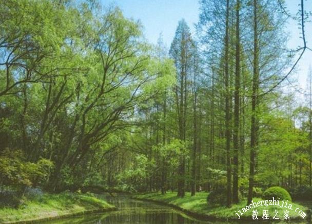 上海有哪些五星级公园 这些高档公园你都去过了吗