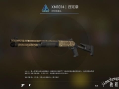 《CS:GO》控制收藏品武器皮肤一览[多图]