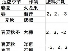 饥荒联机版种瓜得瓜无肥料种植方法详解[多图]