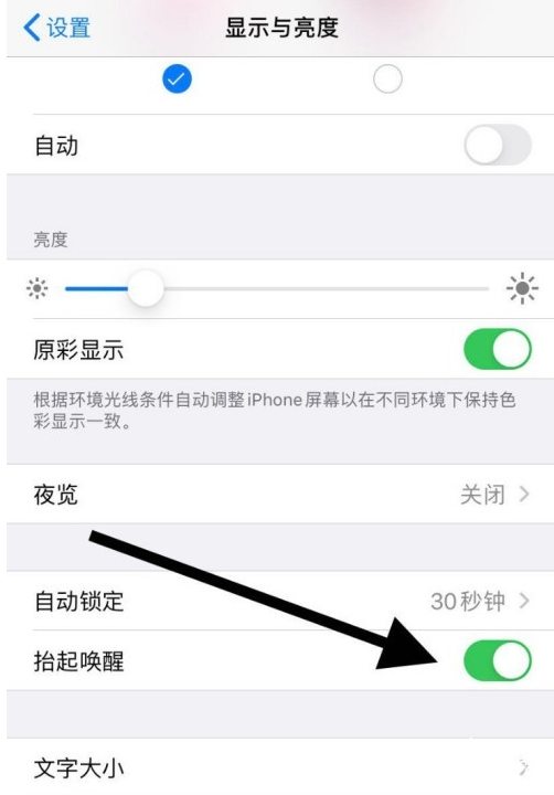 iphone12如何启用抬起唤醒功能 一键设置开启苹果12抬起唤醒方法