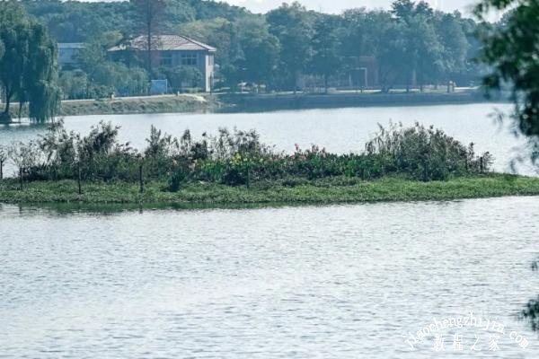 汉阳去哪里踏青最好 汉阳最佳赏春踏青路线推荐