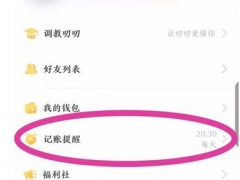 叨叨记账怎么设置记账提醒 智能AI喊你来记账了