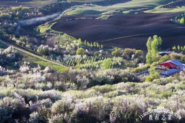新疆春季去哪旅游风景最美 新疆春季最适合踏青的景点推荐