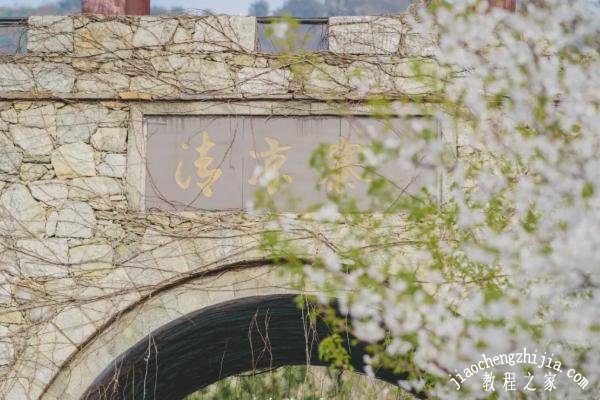 武汉去哪春游最合适 武汉春季最适合踏青赏花的地点推荐