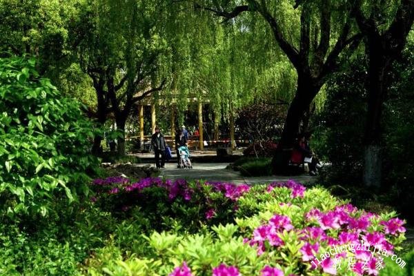 上海哪些免费公园景色最美 这些超赞的免费公园你去过了吗